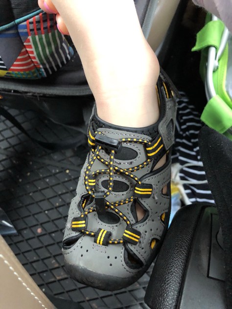 Found these babies at Costco on the cheap!